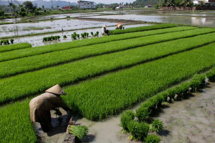 pengelolaan sumber daya usaha