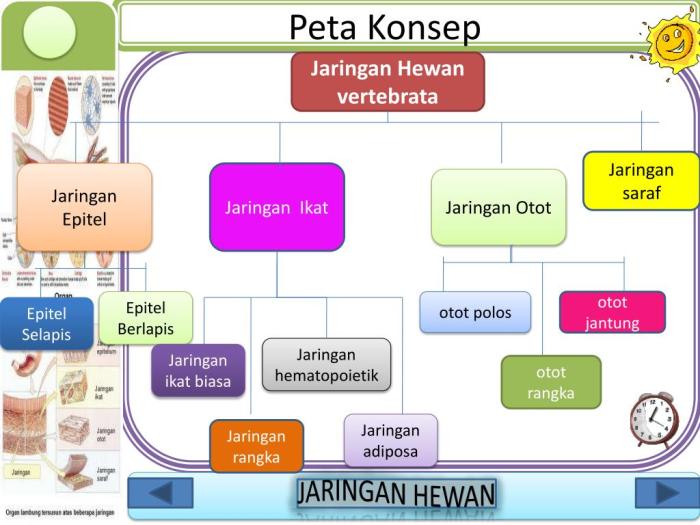 peta konsep sistem saraf