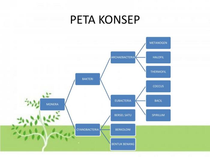 peta konsep teks hikayat