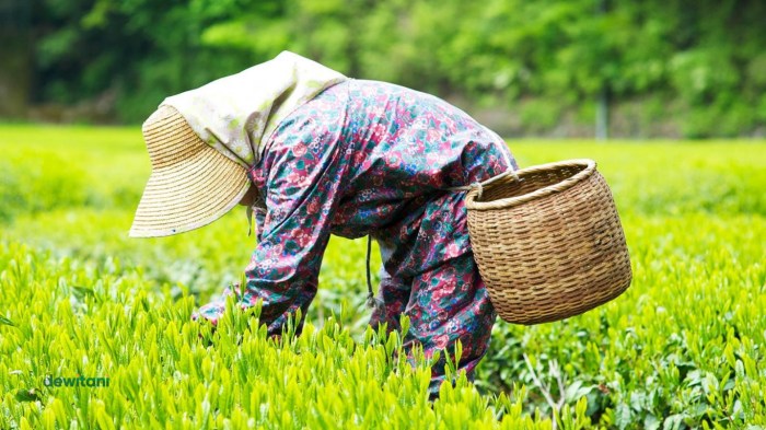 petani dalam bahasa jepang