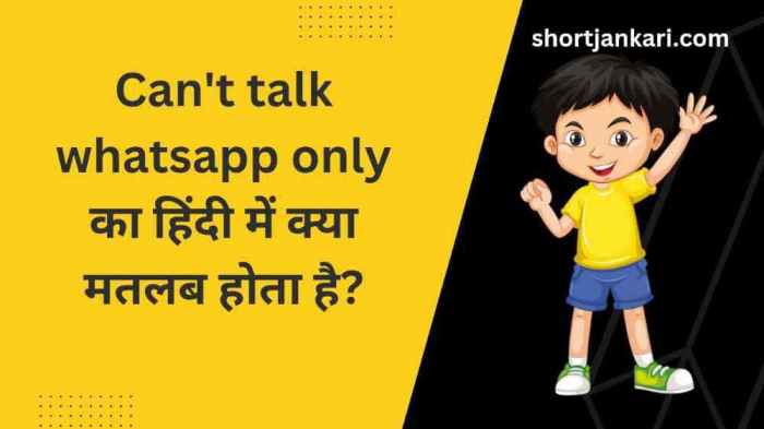 arti can t talk whatsapp only