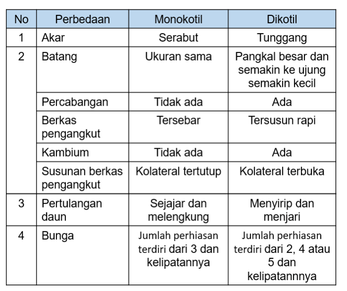 tabel perbedaan dikotil dan monokotil