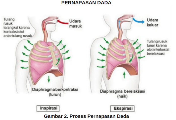 titik yang membesar disebut