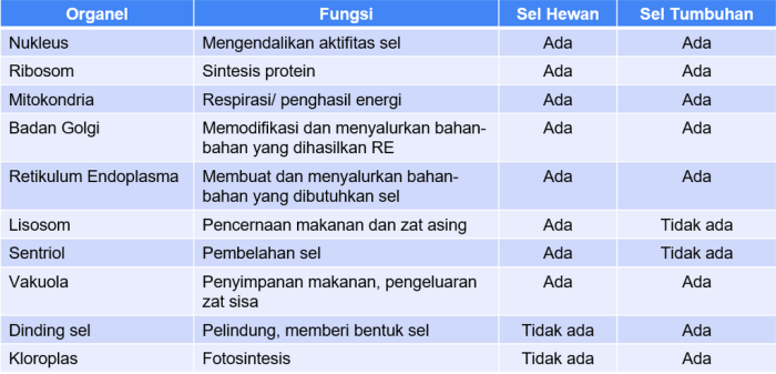 apa fungsi library didalam flash