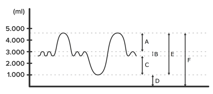 grafik kapasitas paru paru