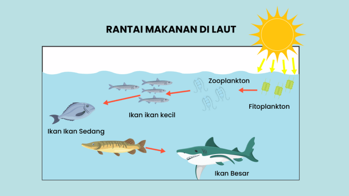 makanan rantai sawah ekosistem penjelasannya