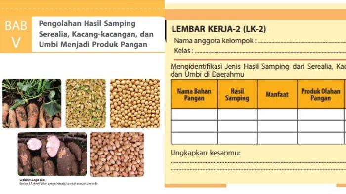 rangkuman prakarya kelas 7 semester 2