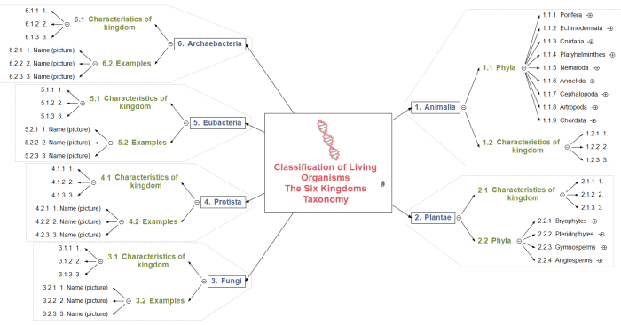 mind map kingdom plantae terbaru