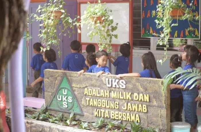 contoh program kerja uks terbaru