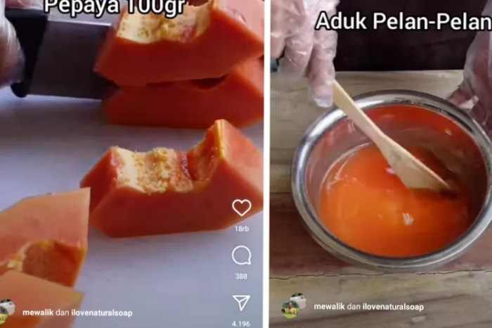 cara membuat sabun pepaya