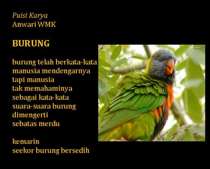 puisi tentang hewan burung