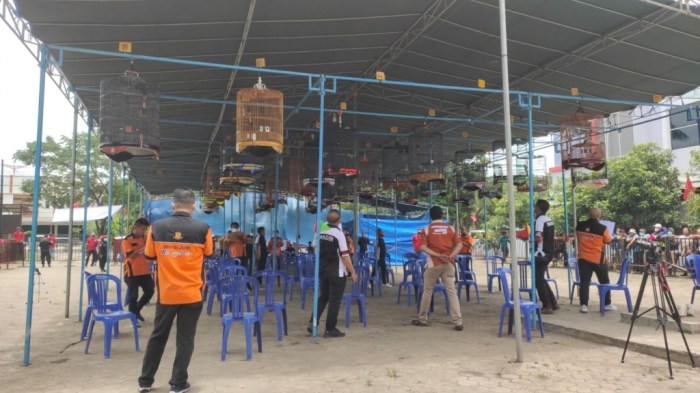 puisi tentang burung berkicau