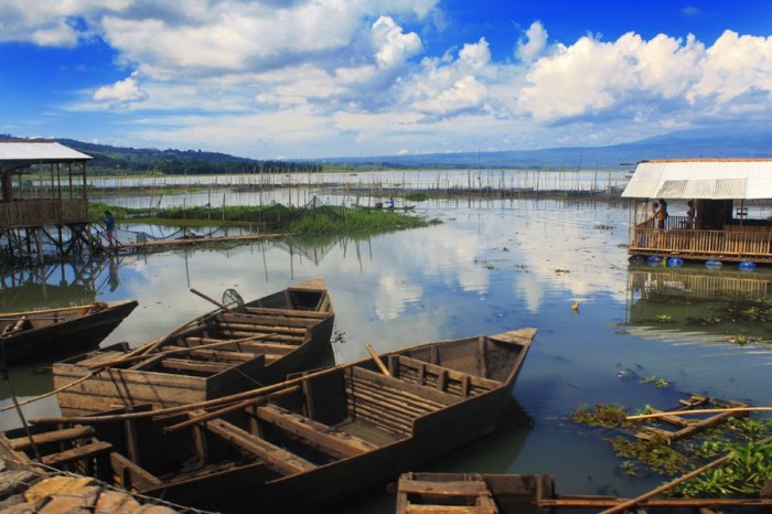 cerita rawa pening bahasa inggris terbaru