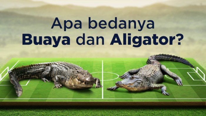 tembaga kuningan boyolali hiasan dinding