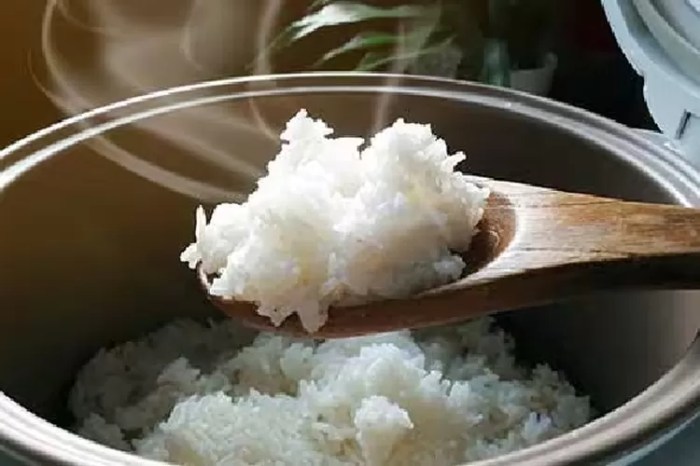 pengertian rice cooker dan fungsinya