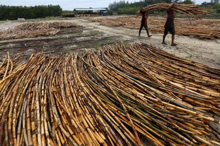 pabrik rotan terbesar di cirebon