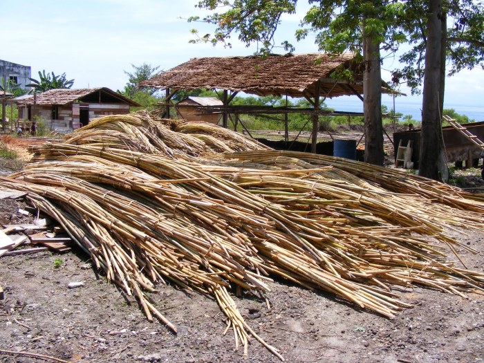 rotan industri cocok obat metode pengawetan bahanpengawet furnitur