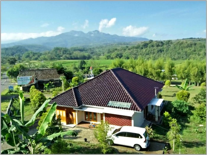 rumah sederhana di pinggir sawah terbaru