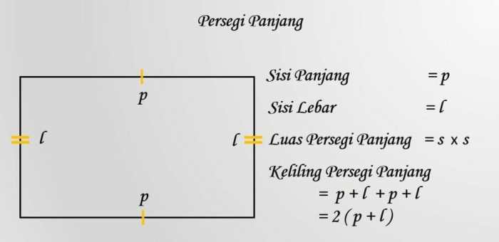 pseudocode menghitung luas lingkaran terbaru