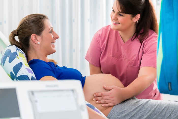 midwifery led care adalah