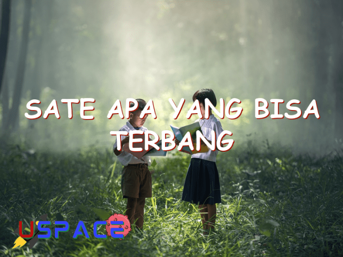 sate apa yang bisa terbang terbaru