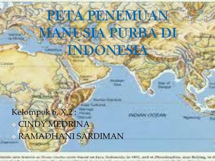 Manusia peta purba penyebaran persebaran yg jelas brainly punya yang