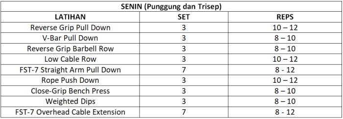 jadwal latihan gym 3 kali seminggu