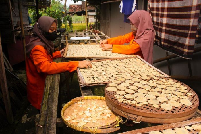 contoh industri rumah tangga pangan