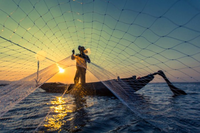 menangkap ikan jaring