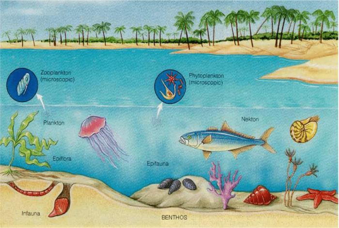 biota penuh dilindungi