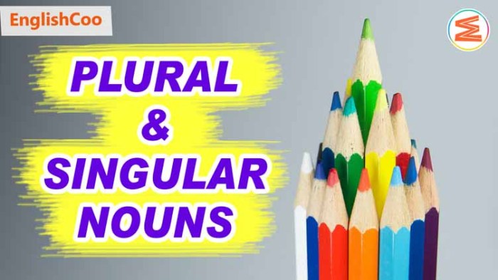 noun singular plural lengkap pengertian beserta inggris yuk pelajari