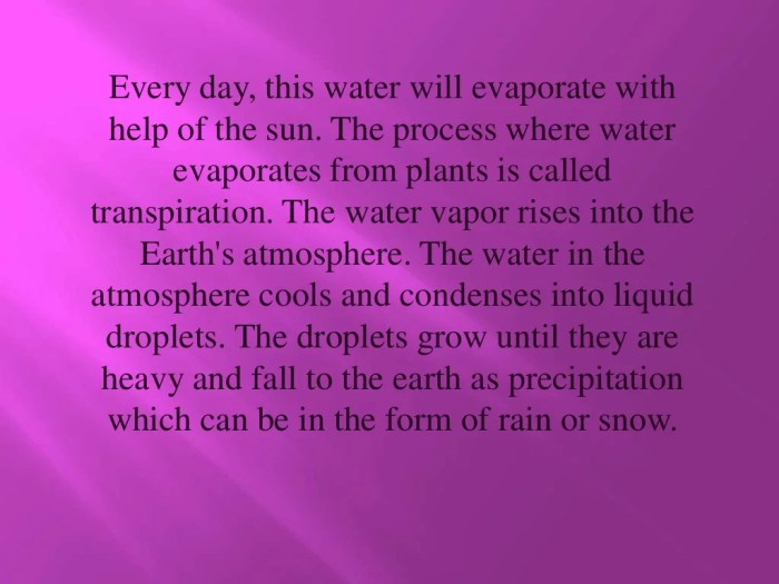 explanation text about rain terbaru