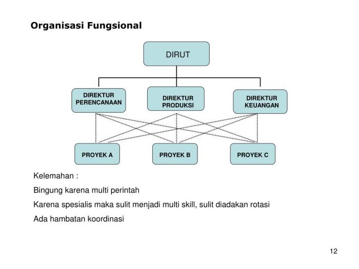 gambarkan struktur organisasi fungsional terbaru