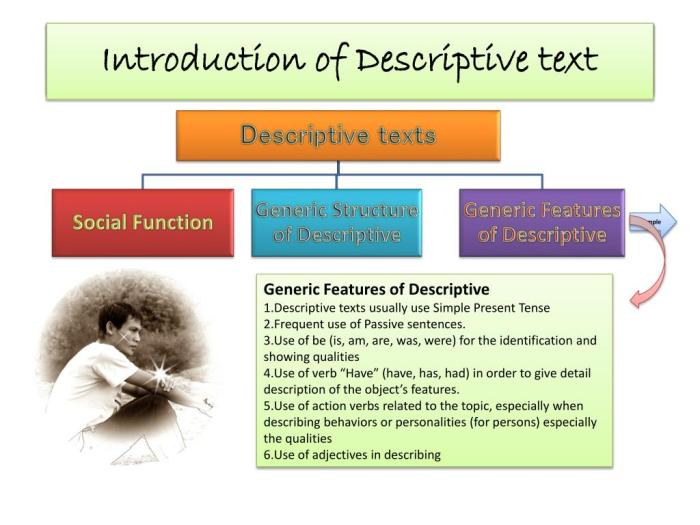 social function descriptive text