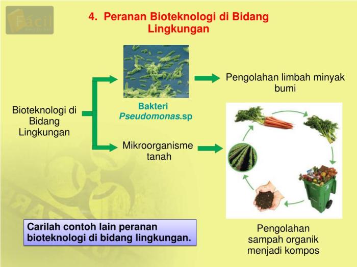 Peranan bioteknologi dalam berbagai bidang