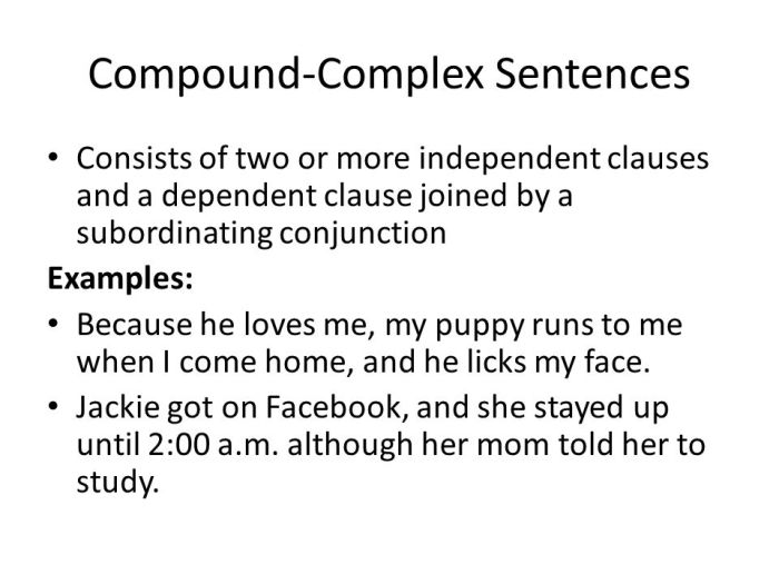 compound complex sentence contoh terbaru