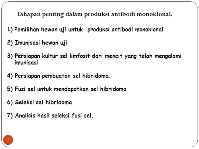 bioteknologi monoklonal antibodi pembuatan