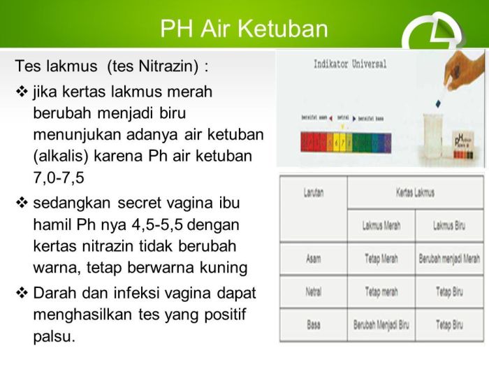 cara kerja kertas lakmus terbaru