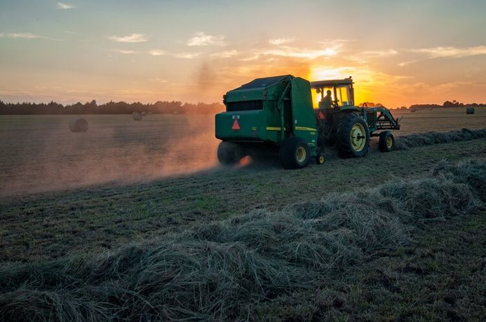 pengembangan agrikultur di indonesia terbaru