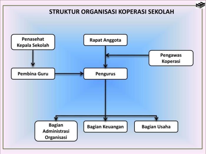 bagaimana kepengurusan koperasi sekolah