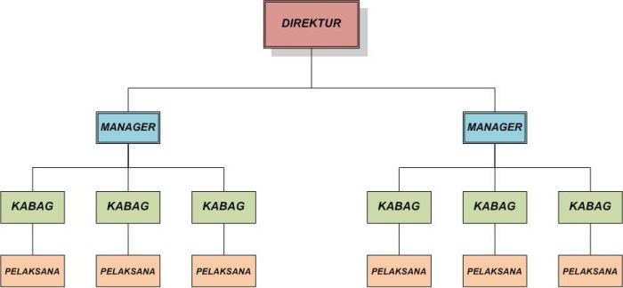 struktur organisasi lini dan staf