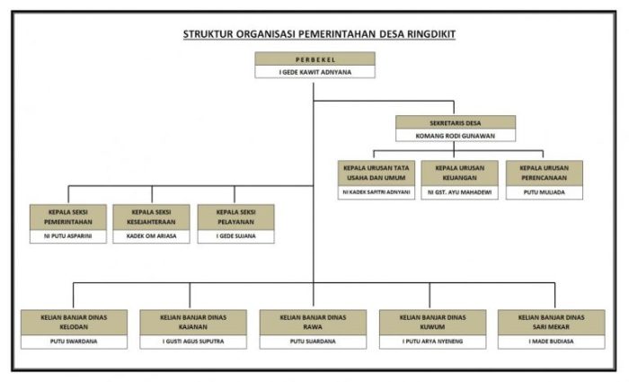 desa struktur pemerintah