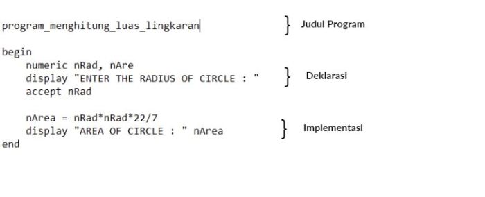 apa itu pseudocode dan contohnya