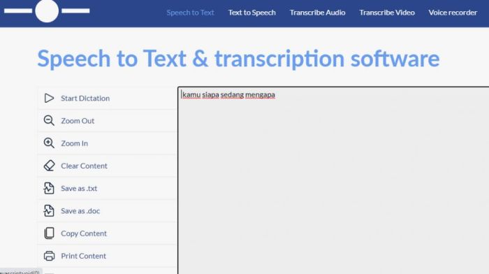 tulisan website yang benar