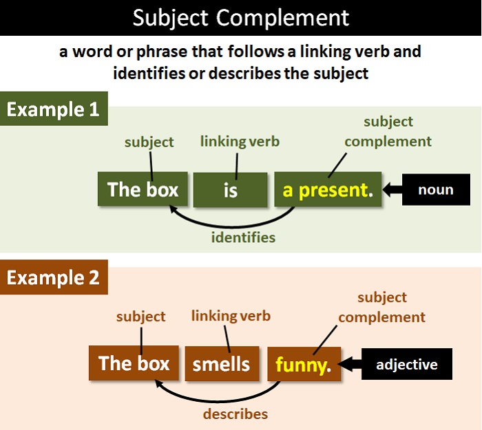 verb sentences sentence noun verbs