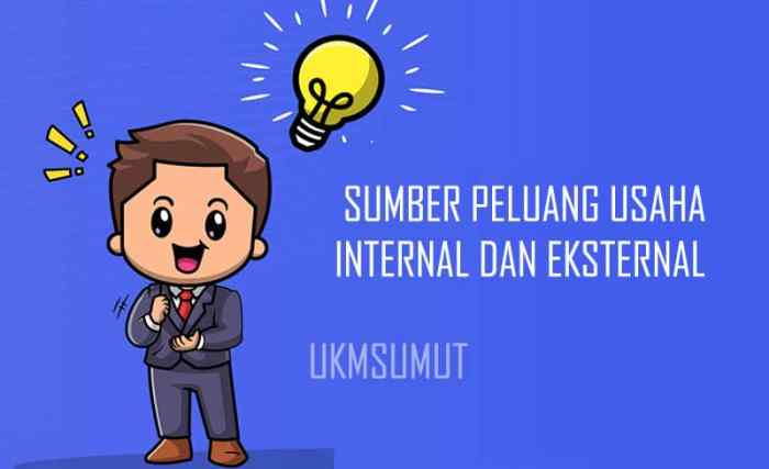 contoh peluang usaha eksternal terbaru