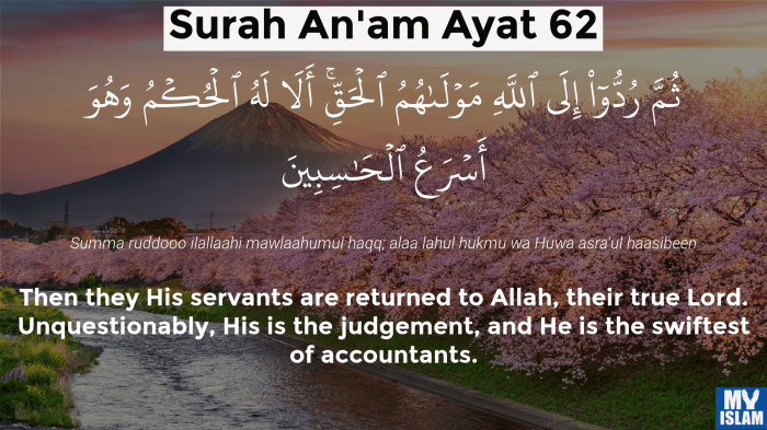 surat al an am ayat 76 79