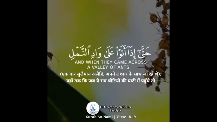 surat an naml ayat 18 19