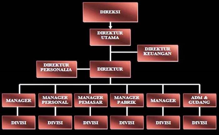 tugas ketua dalam organisasi terbaru