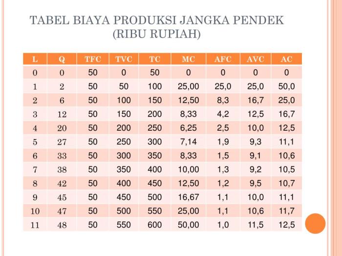 teori produksi jangka pendek